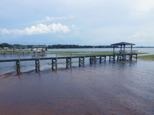 Orlando Lakefront dock after aquatic weed removal