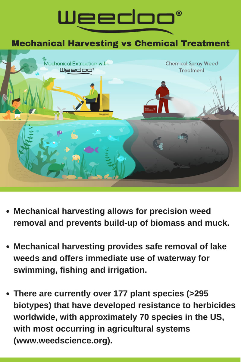 mechanical harvesting vs chemical treatment of weeds