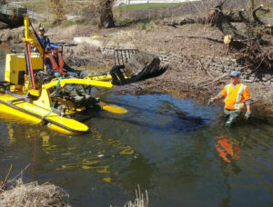 Aquatic Weeds lakefront disaster cleanup