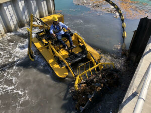 Aquatic Weeds Disaster Cleanup