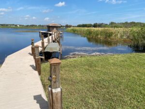 kissimmee lakefront dock weeds cleaned