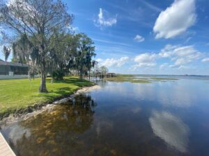 Kissimmee lakefront weeds cleared